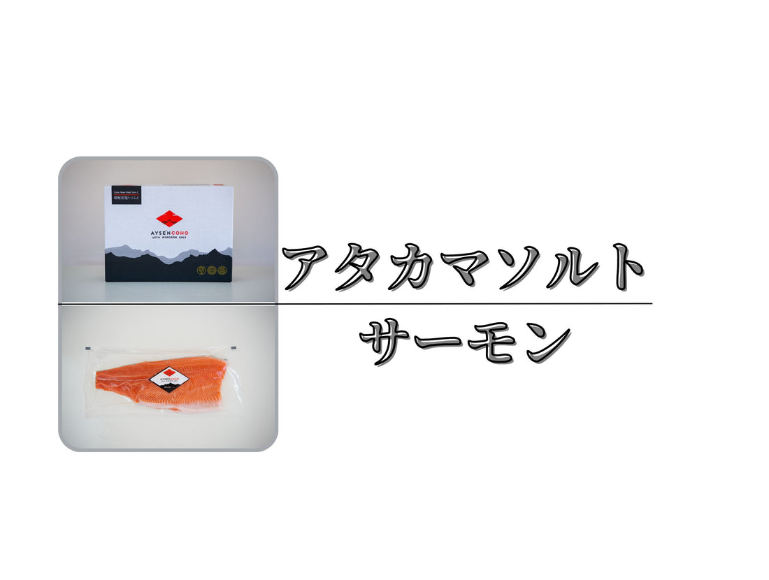アタカマソルトサーモン新発売
