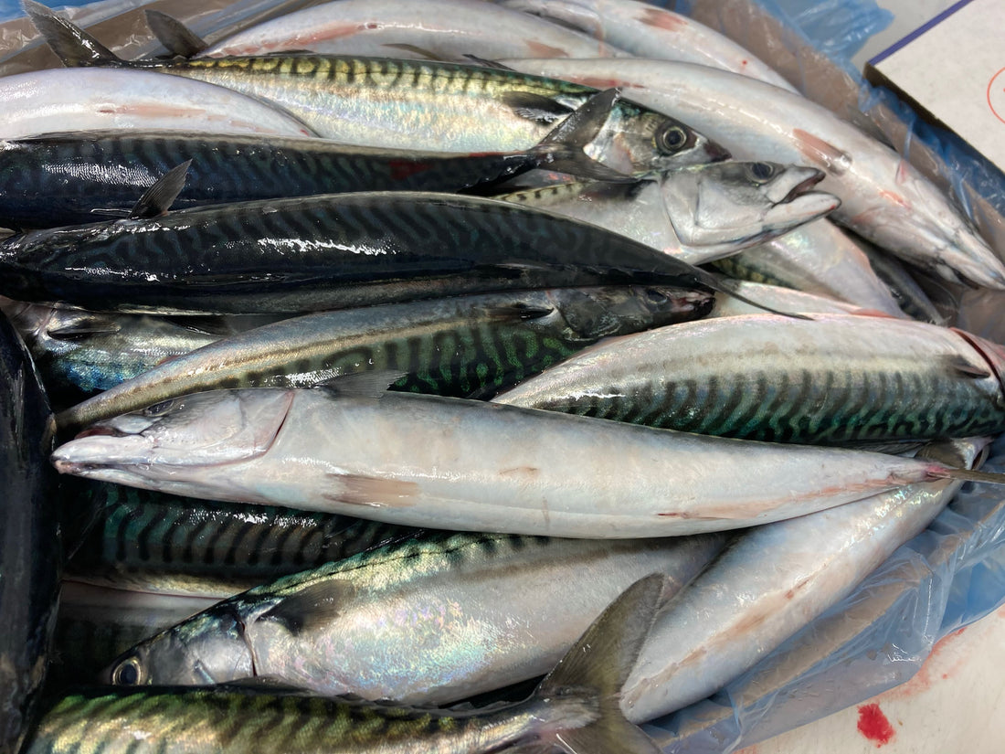 ワインサバ原料仕入れの裏側