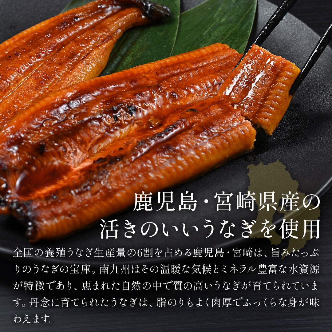 九州産 うなぎ蒲焼 1パックセット