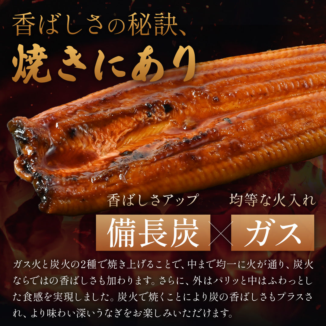 九州産 うなぎ蒲焼 1パックセット