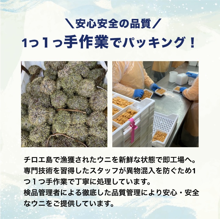 【10月特売】おうちでお寿司屋さん気分!チリ産 ウニ 100g×3