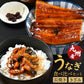 九州産 うなぎ蒲焼 1パックセット