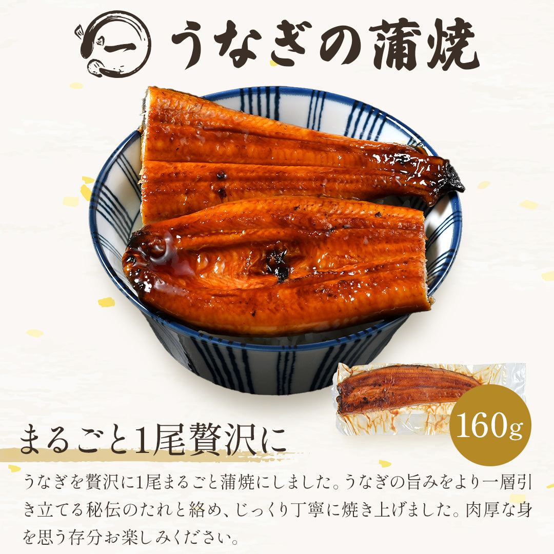 九州産 うなぎ蒲焼 1パックセット
