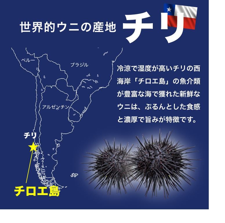 【10月特売】おうちでお寿司屋さん気分！チリ産 ウニ 100g×3